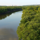 Imagen para el artículo titulado El FBI investiga un cráneo sospechoso encontrado en el río Minnesota. Resulta tener más de 8.000 años